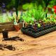 Westland Gro Sure - Square Pot Growing Tray