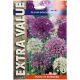  Allium Border Mixed (Extra Value) - Taylors Bulbs