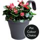 Elho Corsica Easy Hanger Flower Pot (flowers not included)