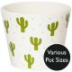 Desert Cacti Green Indoor Plant Pot (Size Options)