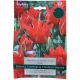 Double Red Riding Hood Tulip Bulb Set - Taylors Bulbs