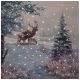 Lit Deer family  Canvas Scene - LED Canvas Print - 40 x 40cm