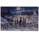 Lit Christmas Cat's Scene - LED Canvas Print - 60 x 30cm