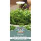 Mr. Fothergill's - Rocket Seeds - Buzz (All Year Round)