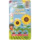 Little Gardeners - Gigantic Sunflowers