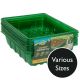 Westland Gro Sure - Visiroot Seed Tray - Size Options available
