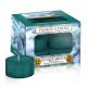 12 Icy Blue Spruce Yankee Candles