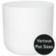 White Lisbon Indoor Pot Planter (Size options)