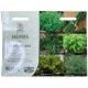 Herbs for containers - RHS