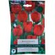 Red Impression Tulip Bulb Set - Taylors Bulbs