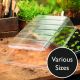 Westland Gro Sure - Visiroot Seed Tray Lid
