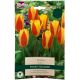 Stresa Tulip Bulb Set - Taylors Bulbs