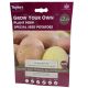 Taylors Grow Your Own 'Alouette' Early main Crop Seed Potatoes