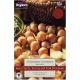 Taylors Grow Your Own 'Golden Gourmet' Variety Shallots