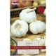 Taylors Grow Your Own 'Marco' Variety Garlic