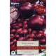 Taylors Grow Your Own 'Red Baron' Variety Onions