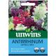 Unwins Antirrhinum Snapdragon Appeal Mix Seeds