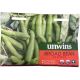 Unwins - Broad Bean - De Monica