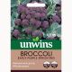 Unwins Broccoli early Purple Sprouting - Broccoli Seeds