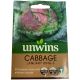 Unwins Cabbage January King 3 Seed