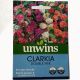 Clarkia Double Mix - Clarkia Seeds