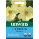 Unwins Cosmos Xanthos Seeds