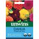 Unwins Dahlia Pompom Mix Seeds