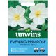Unwins Evening Primrose Wedding Bells Seeds