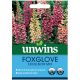 Unwins Foxglove Excelsior Seed Mix