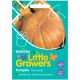 Unwins Little Growers Pumpkin Mammoth Seeds