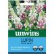 Unwins Lupin Pink Fairy Seeds