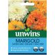 Unwins African Marigold Cream Cracker Seeds