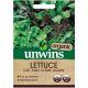 Unwins Organic Lettuce Cut & Come Again Seeds