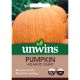 Unwins Pumpkin Seeds - Atlantic Giant