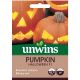 Unwins Pumpkin seeds - Halloween F1