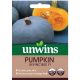 Unwins Pumpkin Seeds - Invincible F1 Variety