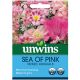 Unwins Sea of Pink Mixed Annuals Seed