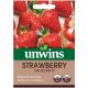 Unwins Strawberry Delician F1 Seeds