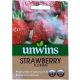 Unwins Strawberry Florian Seed
