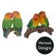 Vivid Arts Exotic Birds - Design Choice