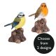 Vivid Arts Garden Friends Singing Birds - Design Choice