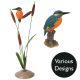Vivid Arts Real Life Kingfisher - Design Choice 