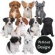 Vivid Arts Puppy Pet Pals - Design Choice