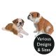 Vivid Arts Real Life Bulldog - Design Choice