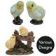 Vivid Arts Real Life Chicks - Design Choice