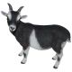 Vivid Arts Real Life Farm - Goat