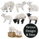 Vivid Arts Real Life Lambs - Design Choice