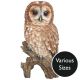 Vivid Arts Real Life Owls - Tawny Owl Garden Ornament