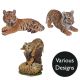 Vivid Arts Real Life Tigers - Design Choice