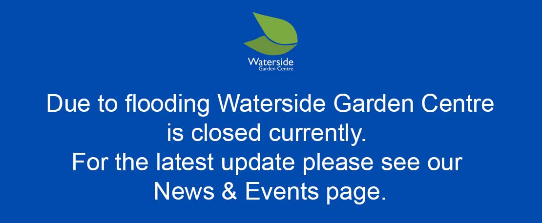 Flooding Update at Waterside Garden Centre